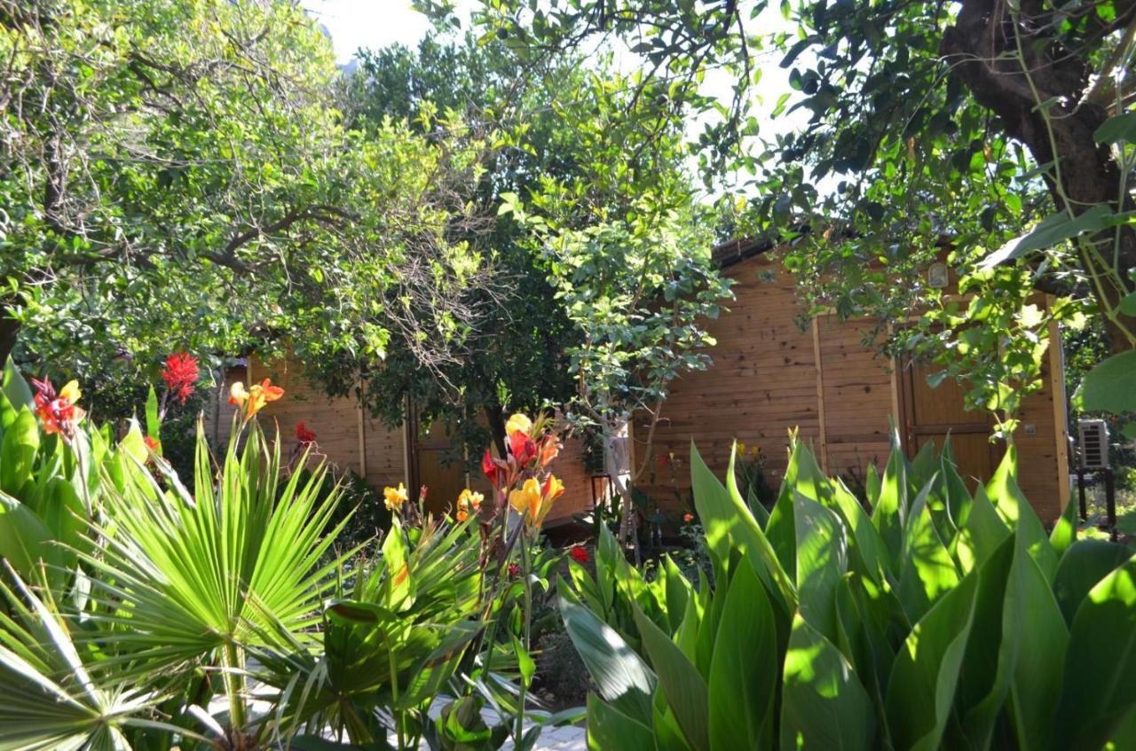 Mercan Pension โอลิมปอส ภายนอก รูปภาพ